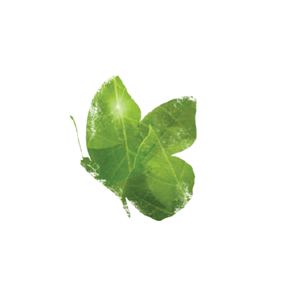 כיתות ה׳-ז׳, פנימיית בית הילדים הרי ירושלים