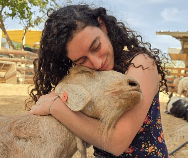 נכיר את משפחות העזים, כבשים, פרות, חזירים, תרנגולים ועוד