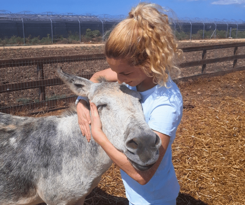 נלמד על המציאות היומיומית שבעלי החיים חווים בתעשיות המזון, בצורה לא גראפית, המעודדת מחשבות ודיונים, ללא שיפוטיות