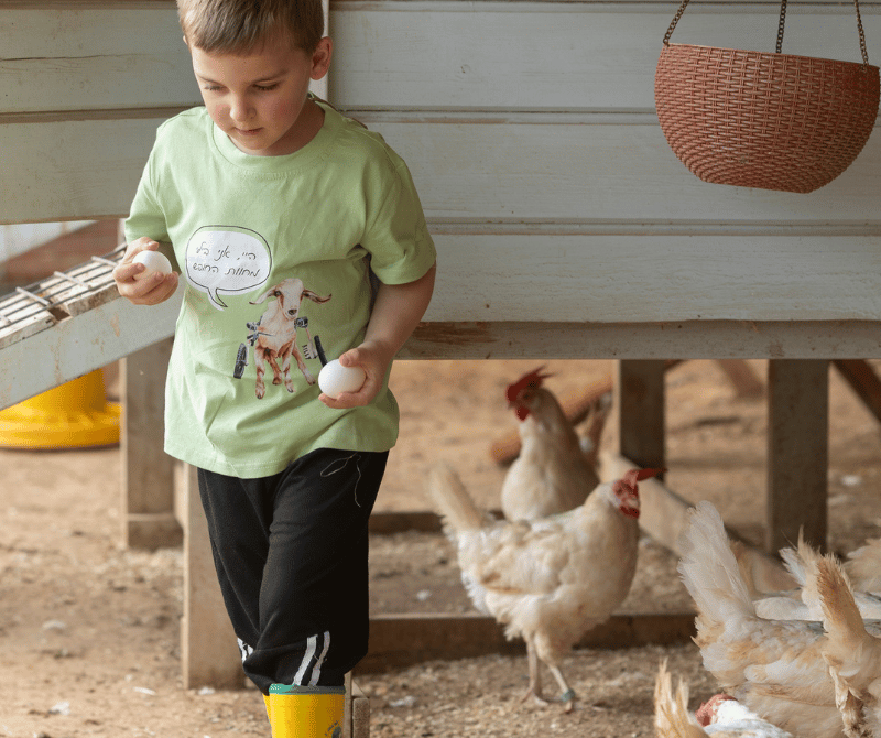 נשמע את סיפורי ההצלה המרגשים של דיירי החווה, ונכיר את עולמם הייחודי ואת מערכות היחסים המיוחדות שנרקמות ביניהם.