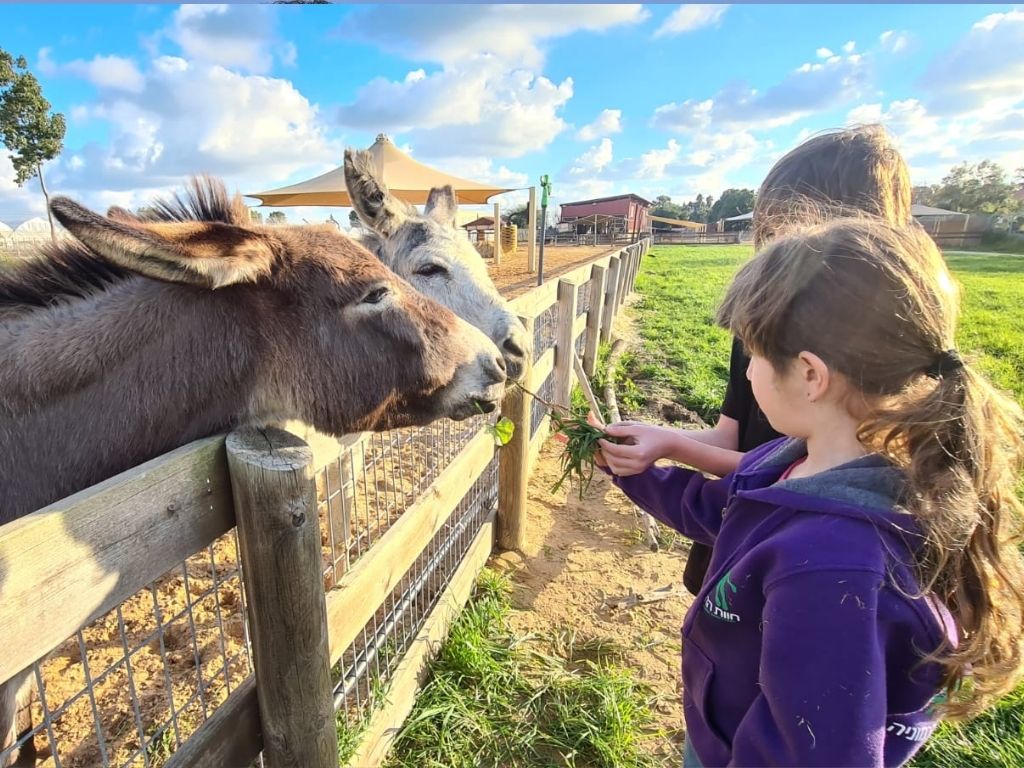 נשמע את סיפורי ההצלה המרגשים של דיירי החווה, ונכיר את עולמם הייחודי ואת מערכות היחסים המיוחדות שנרקמות ביניהם