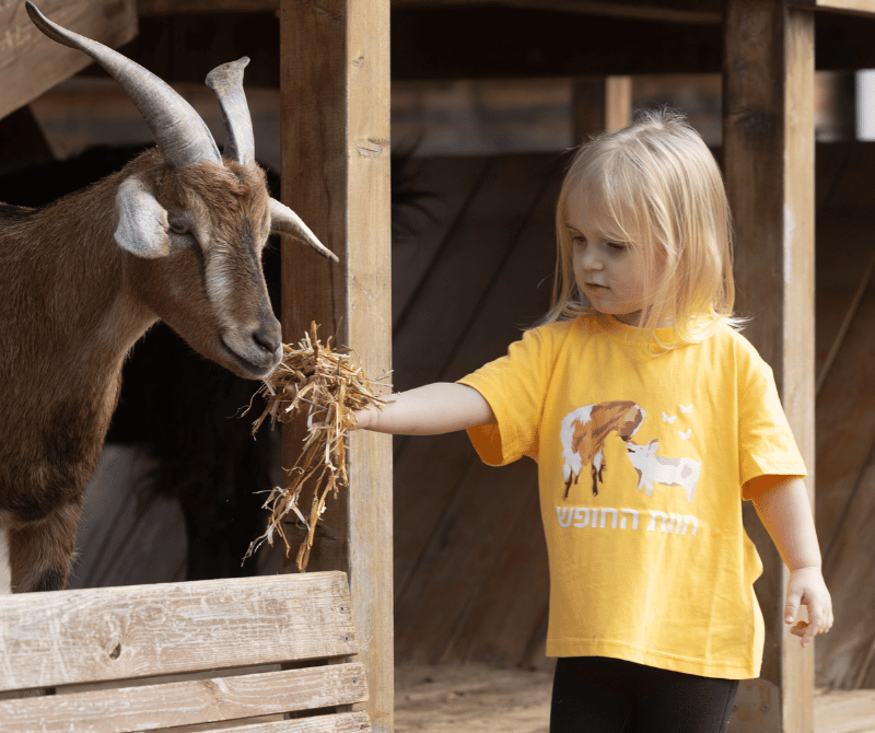 נכיר את משפחות העזים, כבשים, פרות, חזירים, תרנגולים ועוד