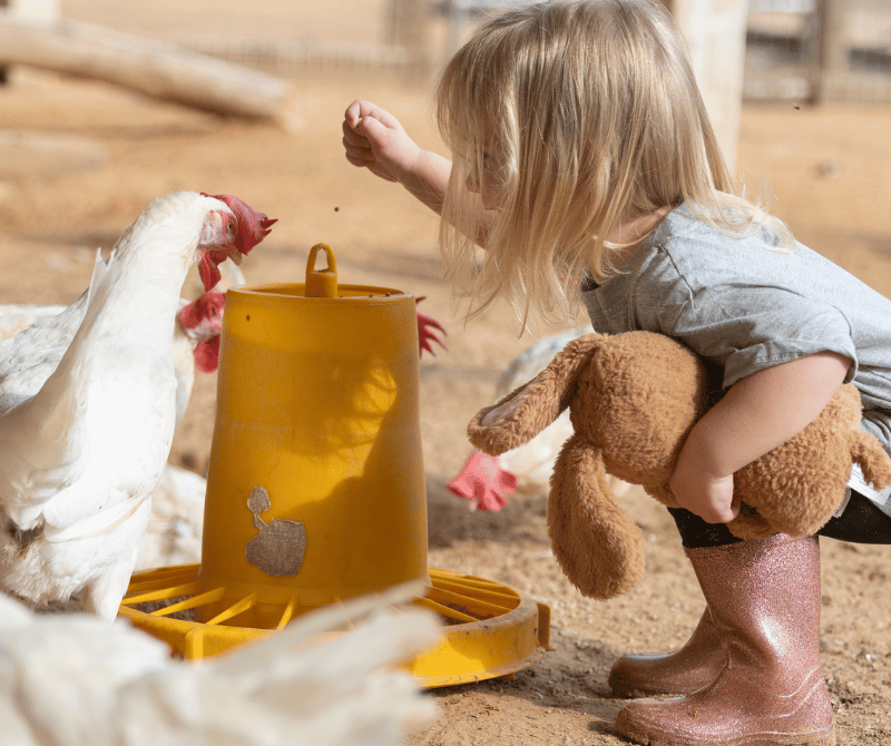 נכין יחד סלט עלים טעים ובריא לתרנגולות, ונשב איתן על המחצלת בזמן שהן אוכלות ונהנות